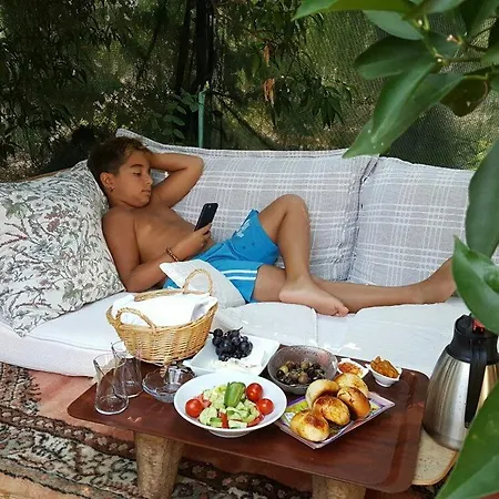 Bed & Breakfast Kus Yuvasi *
