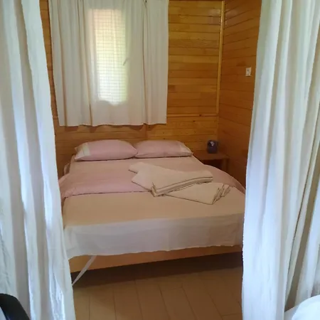 Kus Yuvasi