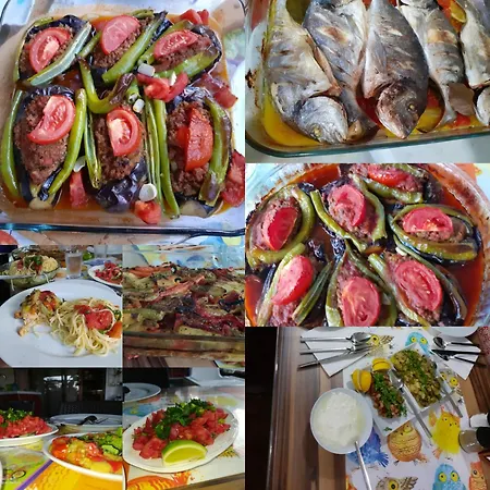 Bed & Breakfast Kus Yuvasi *